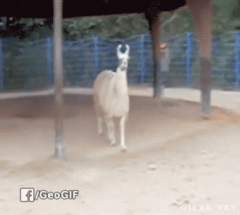 GIF by Demic