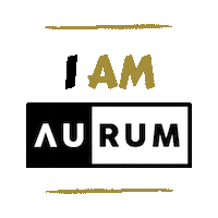 Brazilian Jiu Jitsu Sticker by AURUM BJJ