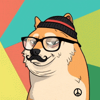 Shiba Inu Nft GIF by Doge Pound