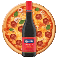 Pizza Lambrusco Sticker by Riunite