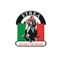 Horse Sticker by My Events Digital