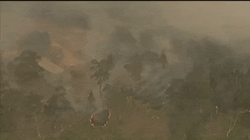 australia wildfires australia fires GIF