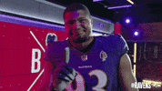 Football No GIF by Baltimore Ravens