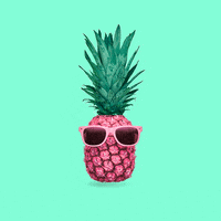 GIF by Bob's your uncle