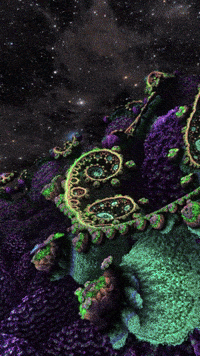 TrippyEverything trippy everything GIF