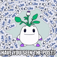 Social Media Love GIF by Magic Eden