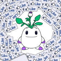 Social Media Love GIF by Magic Eden