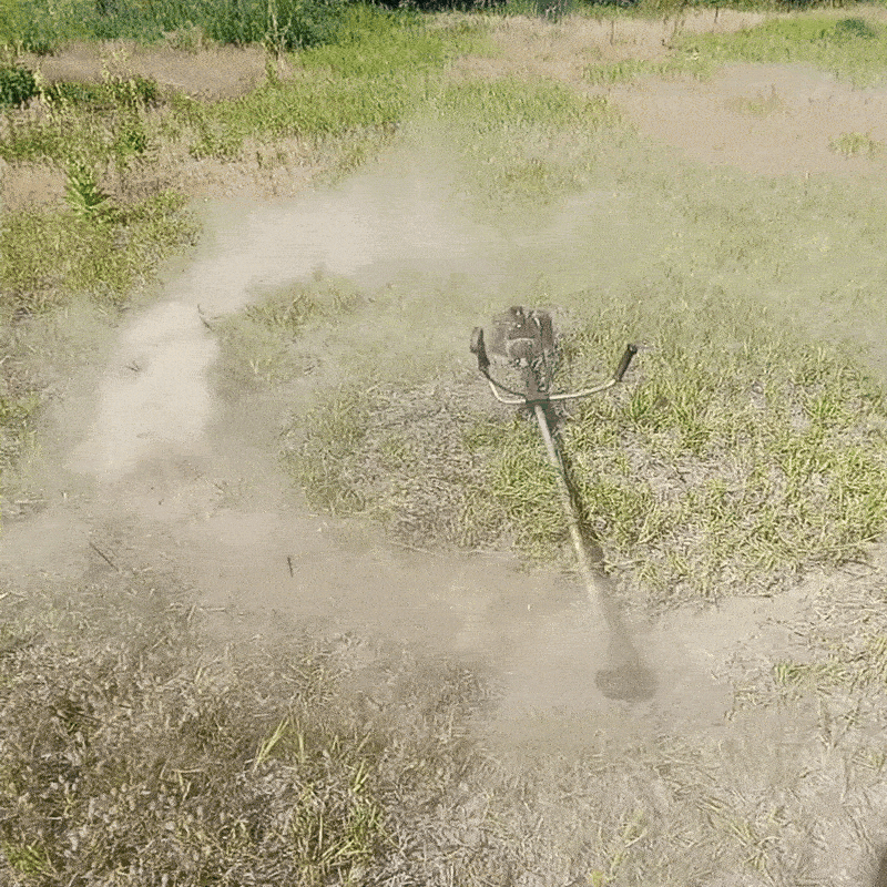 Georgia Chainsaw GIF by Spektr