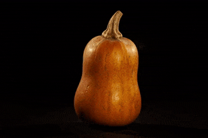 Stop Motion Animation GIF by brittany bartley