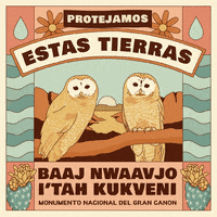 Climate Change Earth GIF by INTO ACTION