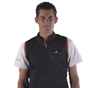 Thiem Sticker by Red Bull