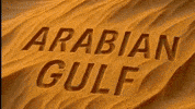 Persian Gulf Iran GIF