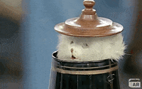Surprised Pop Up GIF by ANTIQUES ROADSHOW | PBS