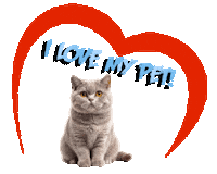 My Pet Love Sticker