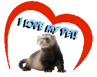 Guinea Pig Love Sticker