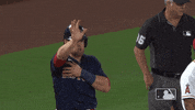 Waving Regular Season GIF by MLB