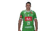 Handball Gwdminden Sticker by GWD Minden Handball-Bundesliga GmbH & Co.KG