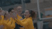 Volleyball Bison GIF by NDSU Athletics