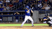 Baseball Mlb GIF by Tulsa Drillers