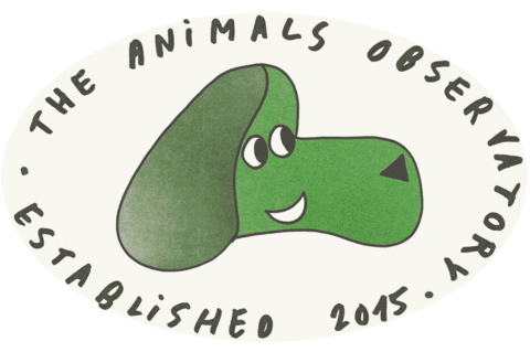 Sticker by The Animals Observatory