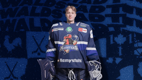 Celebration Hockey GIF by Iserlohn Roosters
