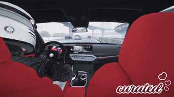 Speeding Assetto Corsa GIF by Curated Stance!