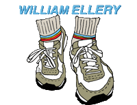 Rec Socks Sticker by William Ellery