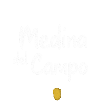 Medinadelcampo valladolid medina castillayleon castilla Sticker