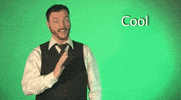 sign language asl GIF by Sign with Robert