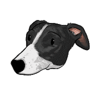 Amorperruno Sticker by elgalgoazul