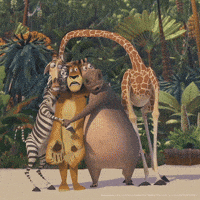 dreamworks friends confused beach scared GIF