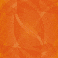 TeamNL sport teamnl nocnsf europeangames GIF