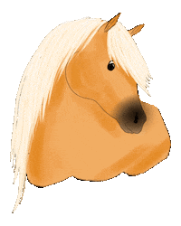 Horse Pony Sticker by winterlichtmalerei