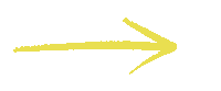 Action Awareness Sticker by State of Youth