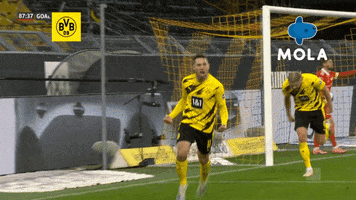 Happy Football GIF by MolaTV