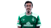 football bundesliga Sticker by SV Werder Bremen