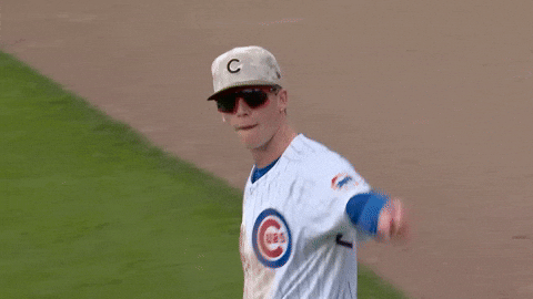 Chicago Cubs No GIF by TheDreamTeam 