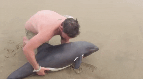 GIF by Mashable
