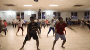 viber tamil sri lanka viber GIF
