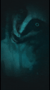 UncannyPictures horror scary ghost spooky GIF