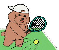 Dttennis Sticker by DT