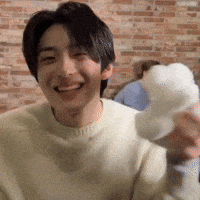 Stan Twitter Kpop Reaction GIF