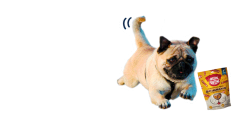 Excited Dog Sticker by Awesome Pawsome Treats