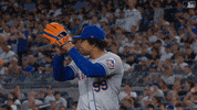 Happy Ny Mets GIF by New York Mets