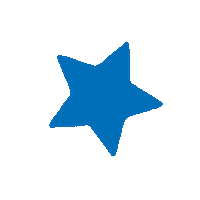 Make A Wish Star Sticker by Maakamsterdam