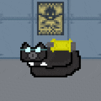 eynmaginaire cat ginger ollie ollie the cat GIF