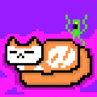 eynmaginaire cat ginger ollie ollie the cat GIF