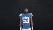 Excited Nfl GIF by Indianapolis Colts