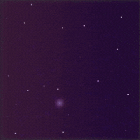 Jorge Baron Star GIF by Gizenth