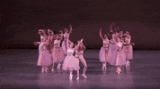pas de deux dance GIF by New York City Ballet